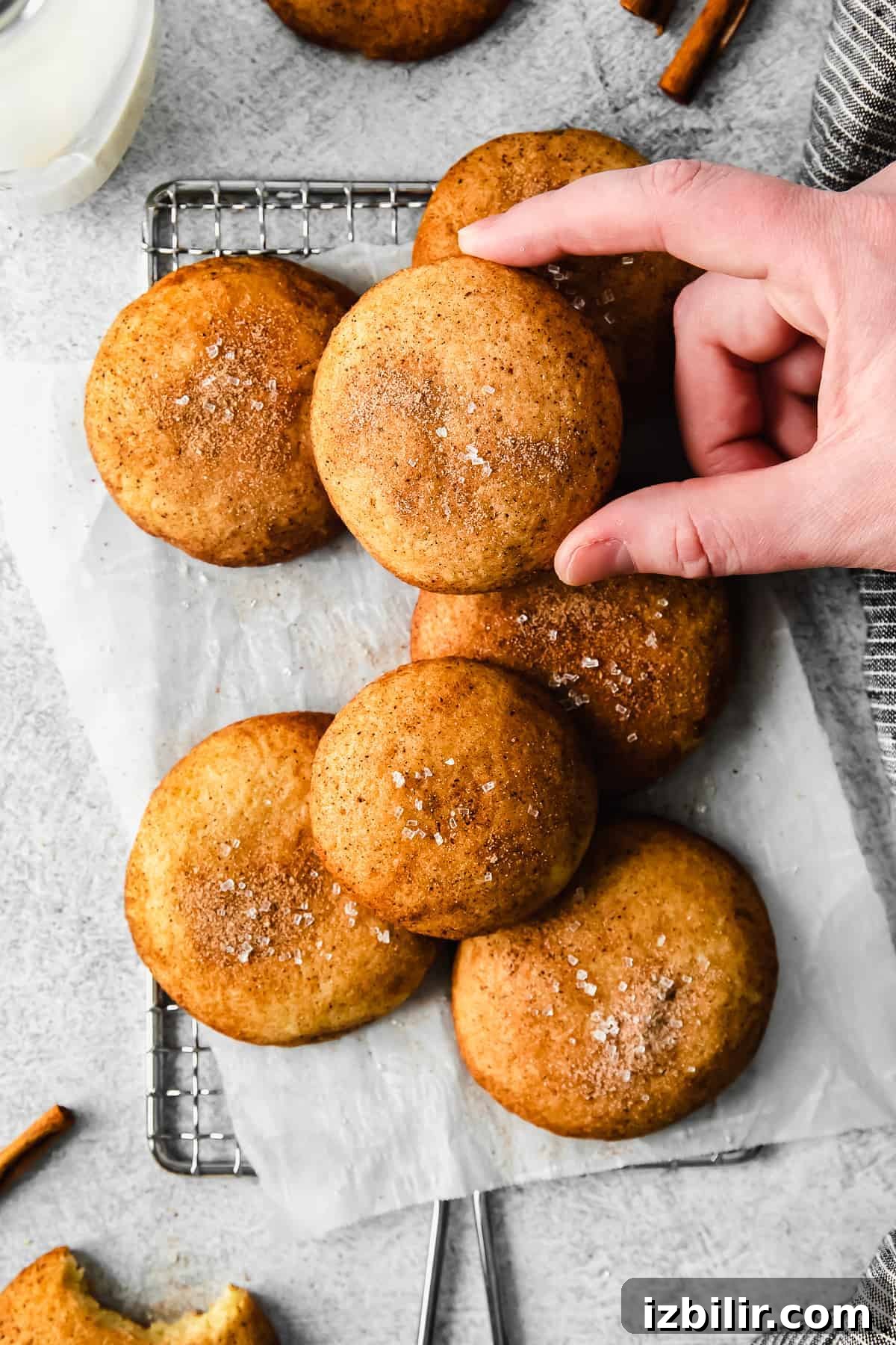 Homemade Snickerdoodle Cookies: Cinnamon Sugar Recipe 8 A hand holding a snickerdoodle cookie