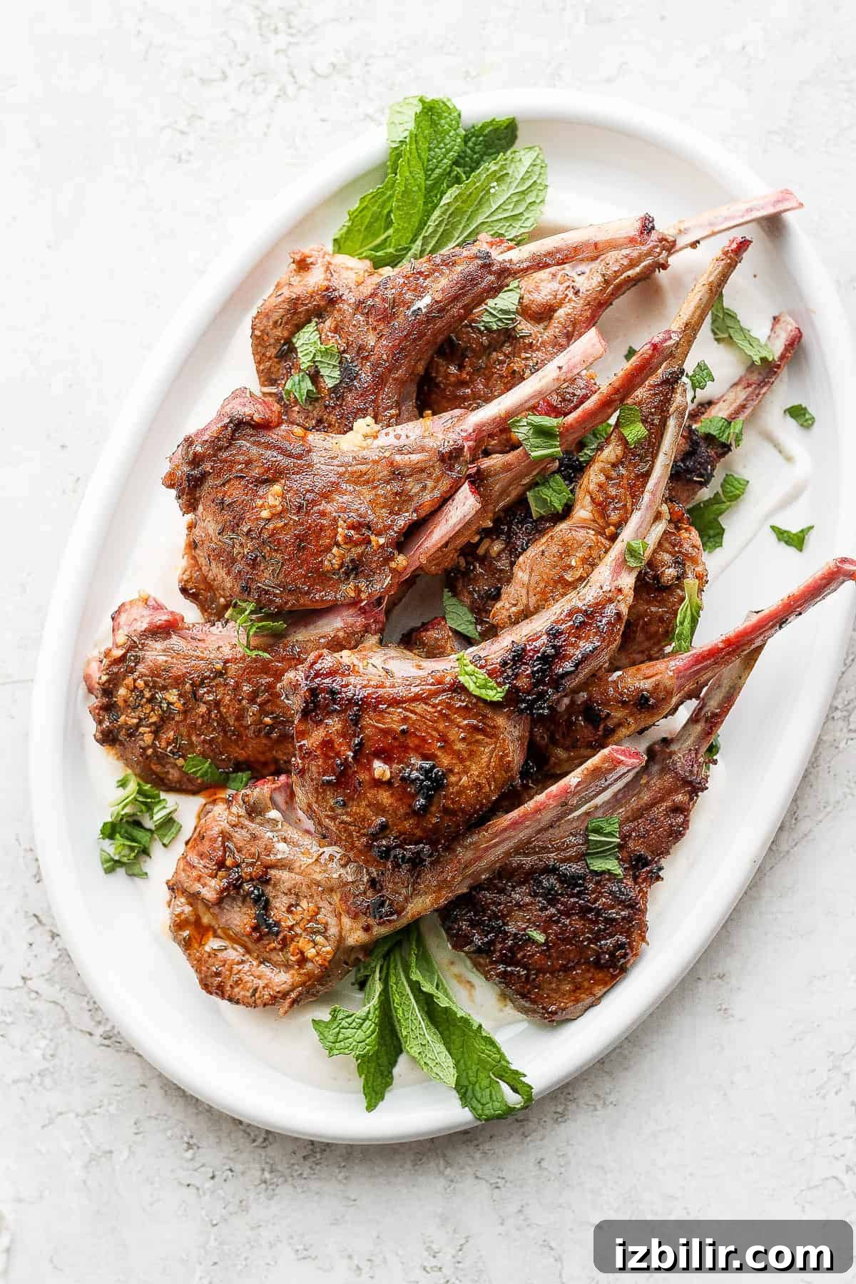Pan seared lamb chops served with aioli pan seared lamb chops on a plate garnished with fresh mint