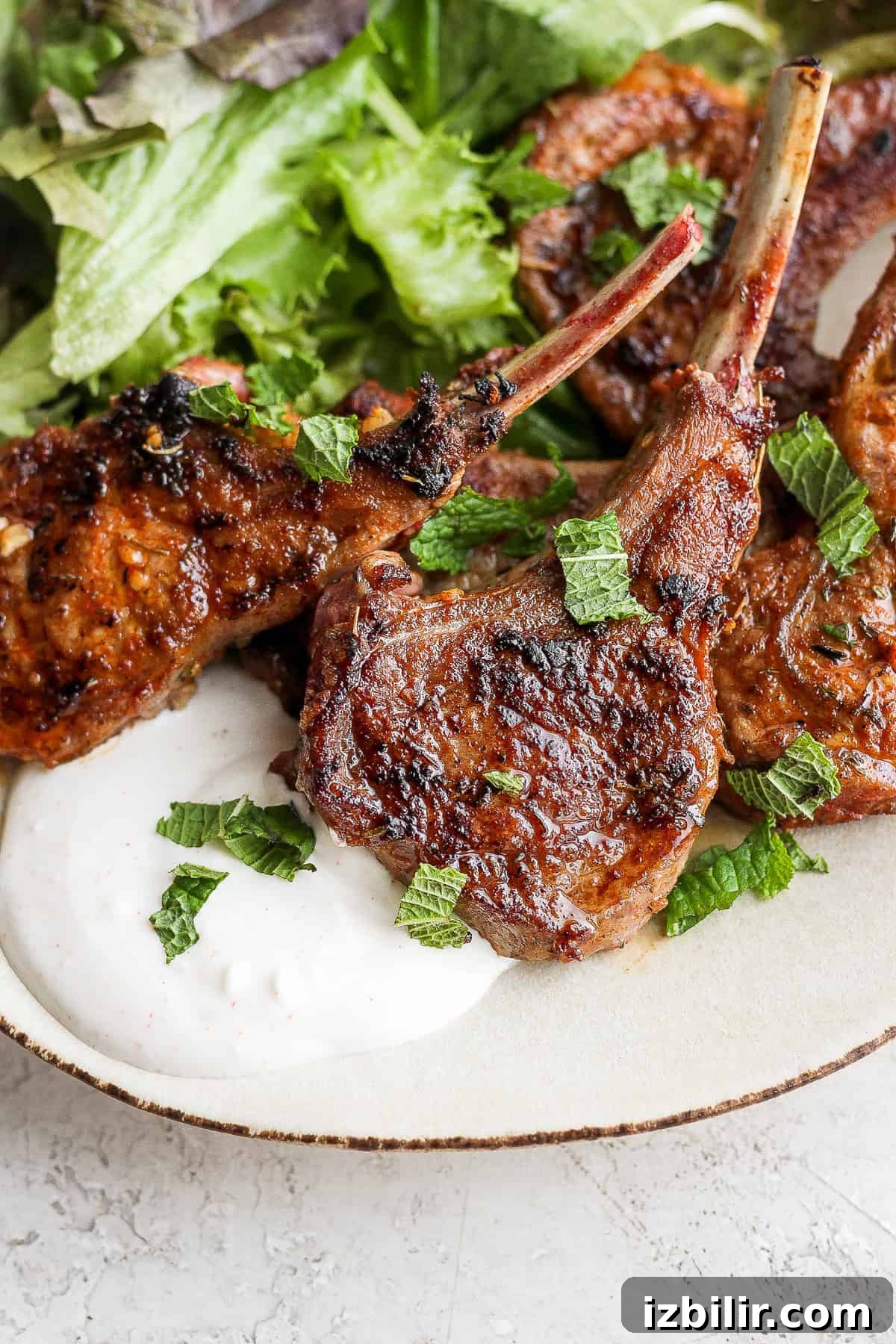 Lamb chop plated over aioli pan seared lamb chop plated over a homemade aioli