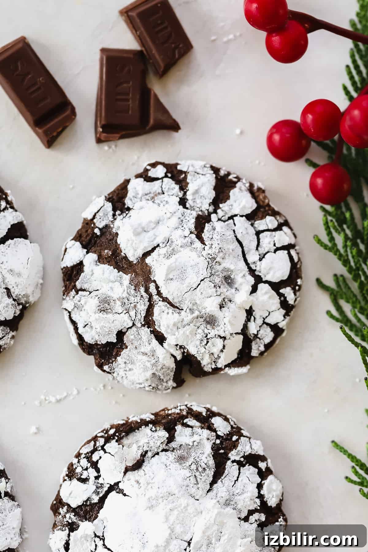 Chocolate Crinkle Cookie crinkle cookie on plate