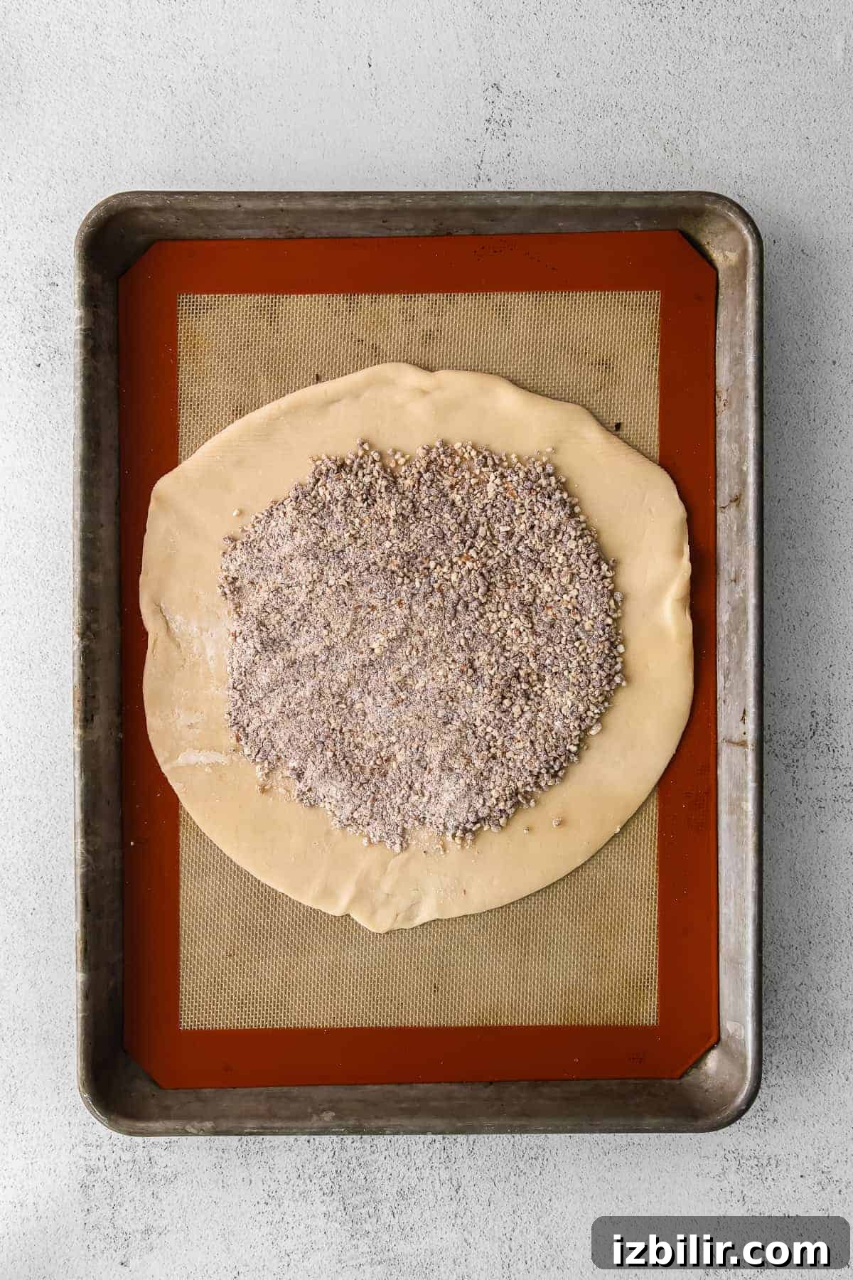 Rustic Honey Pear Galette Recipe 4 Pecan crumble sprinkled over pie crust.