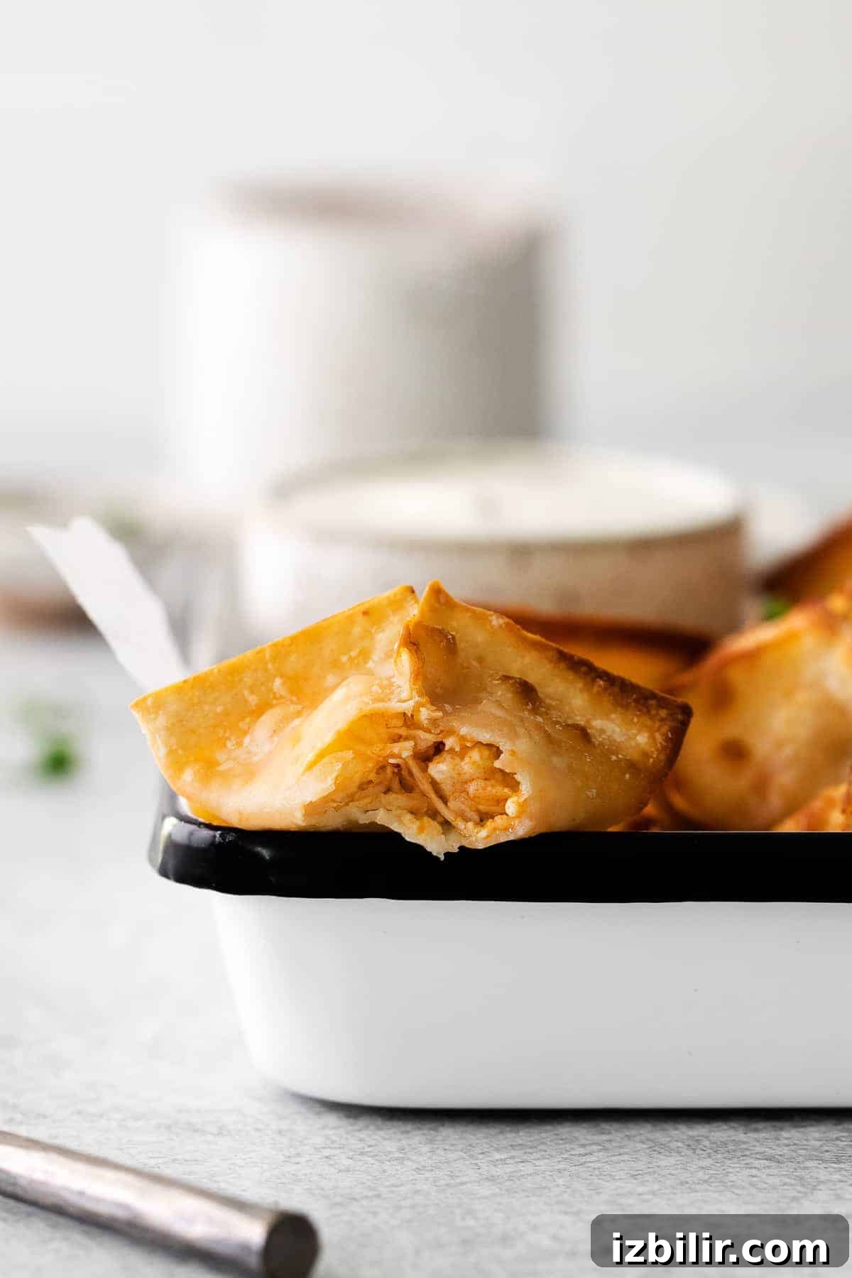 Wontons in Basket wontons in basket