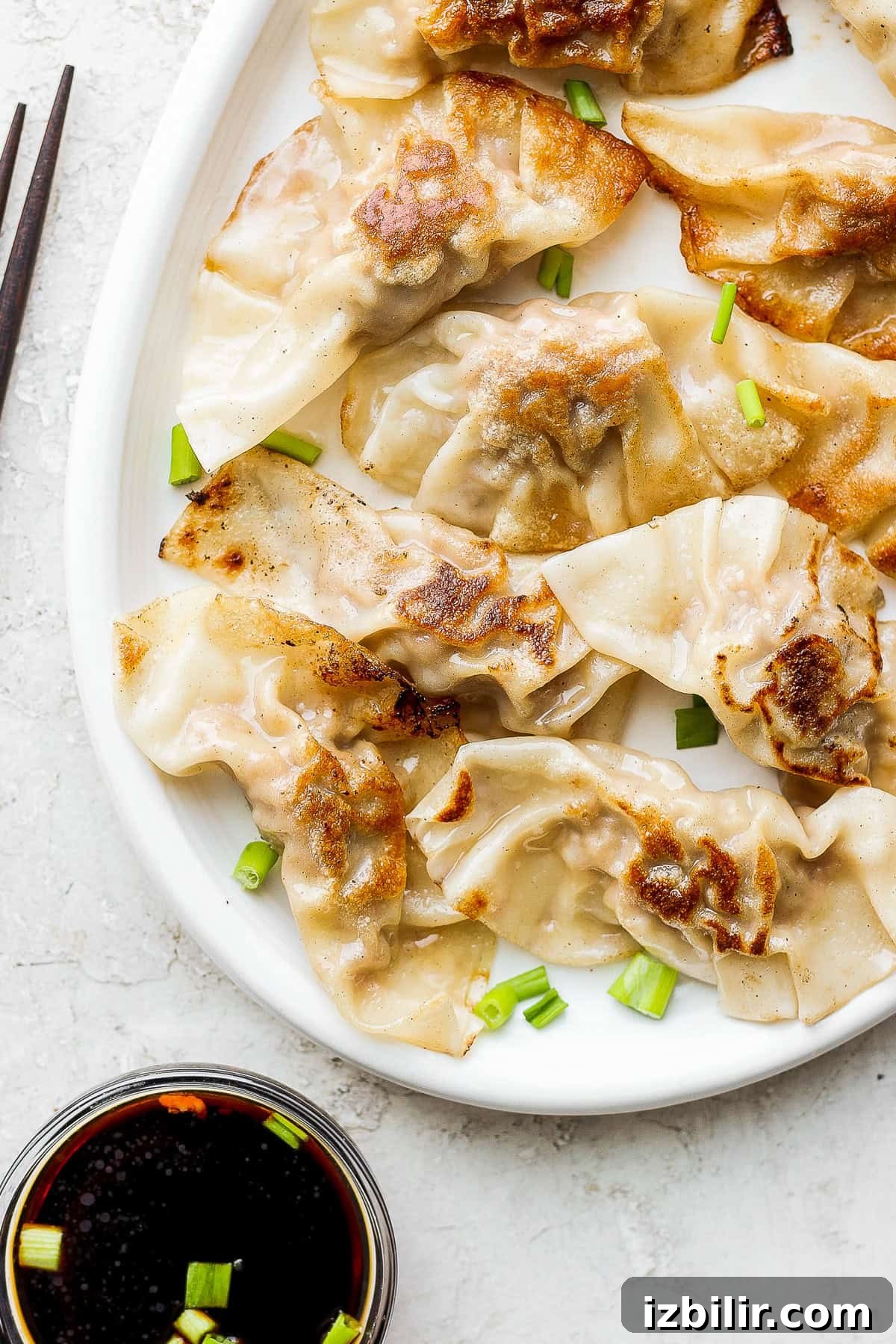 Homemade pork dumplings pork dumplings on a plate with fresh green onions