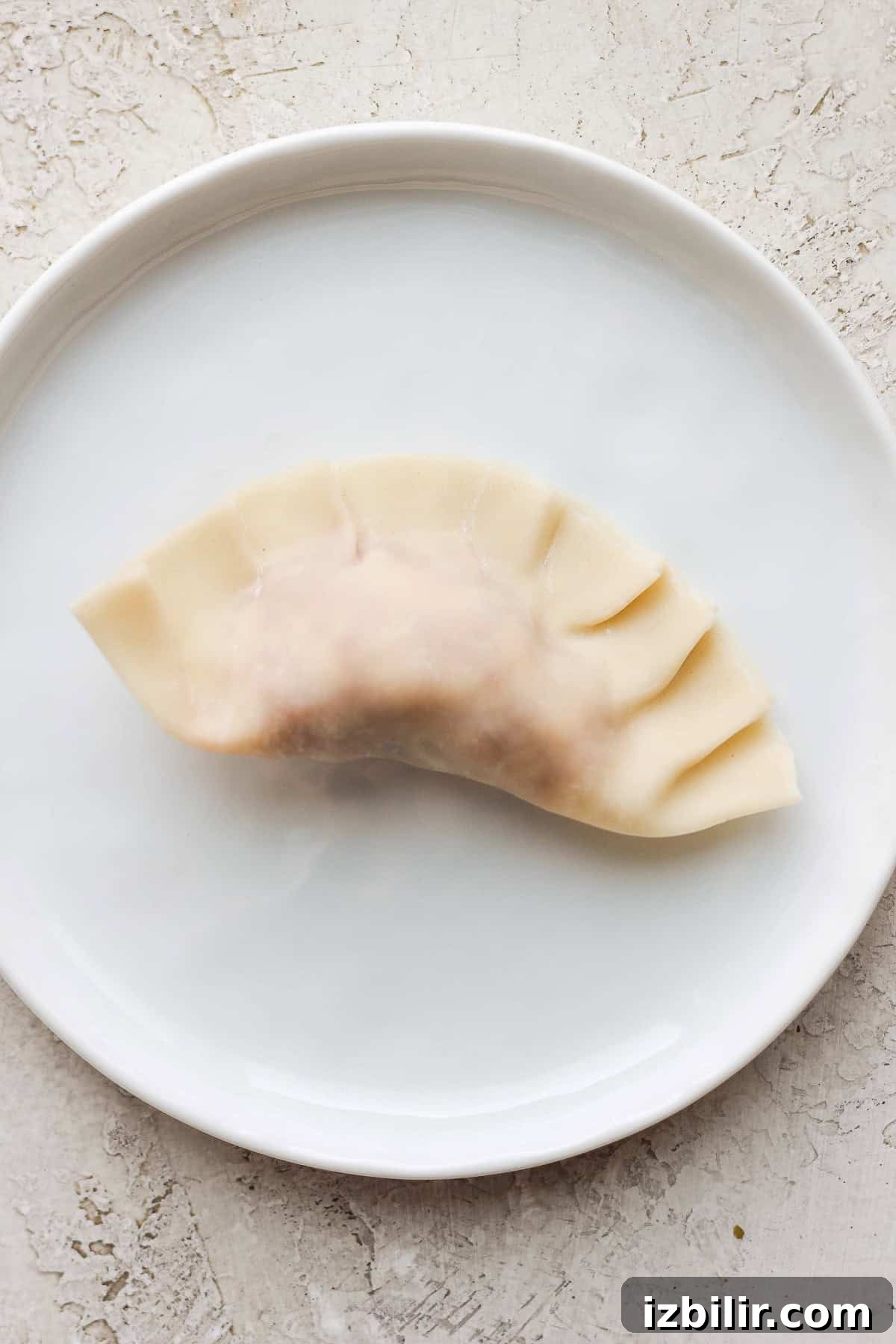 fried pork dumpling pork dumpling on a plate