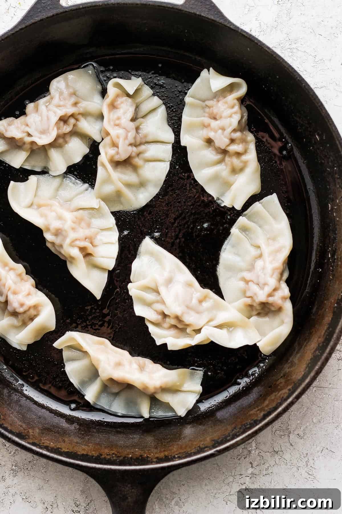pan frying pork dumplings pork dumplings in a cast iron skillet