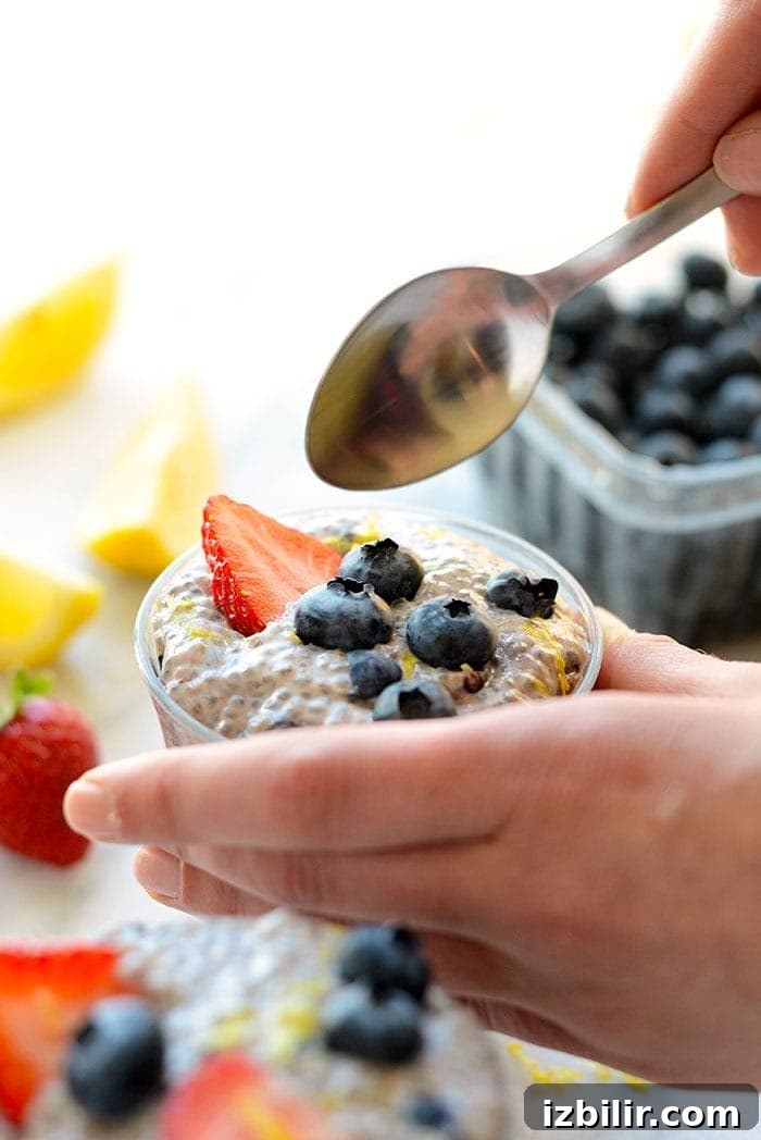 Creamy Blueberry Chia Seed Pudding Chia Seed Pudding