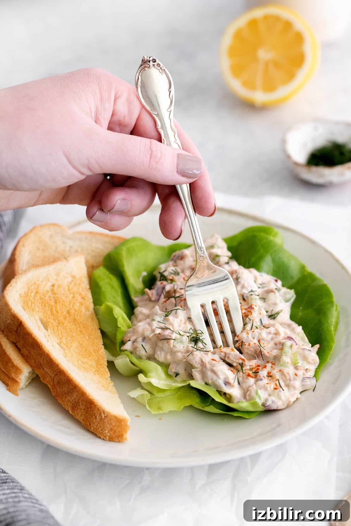 A forkful of healthy tuna salad. Tuna salad on a fork.