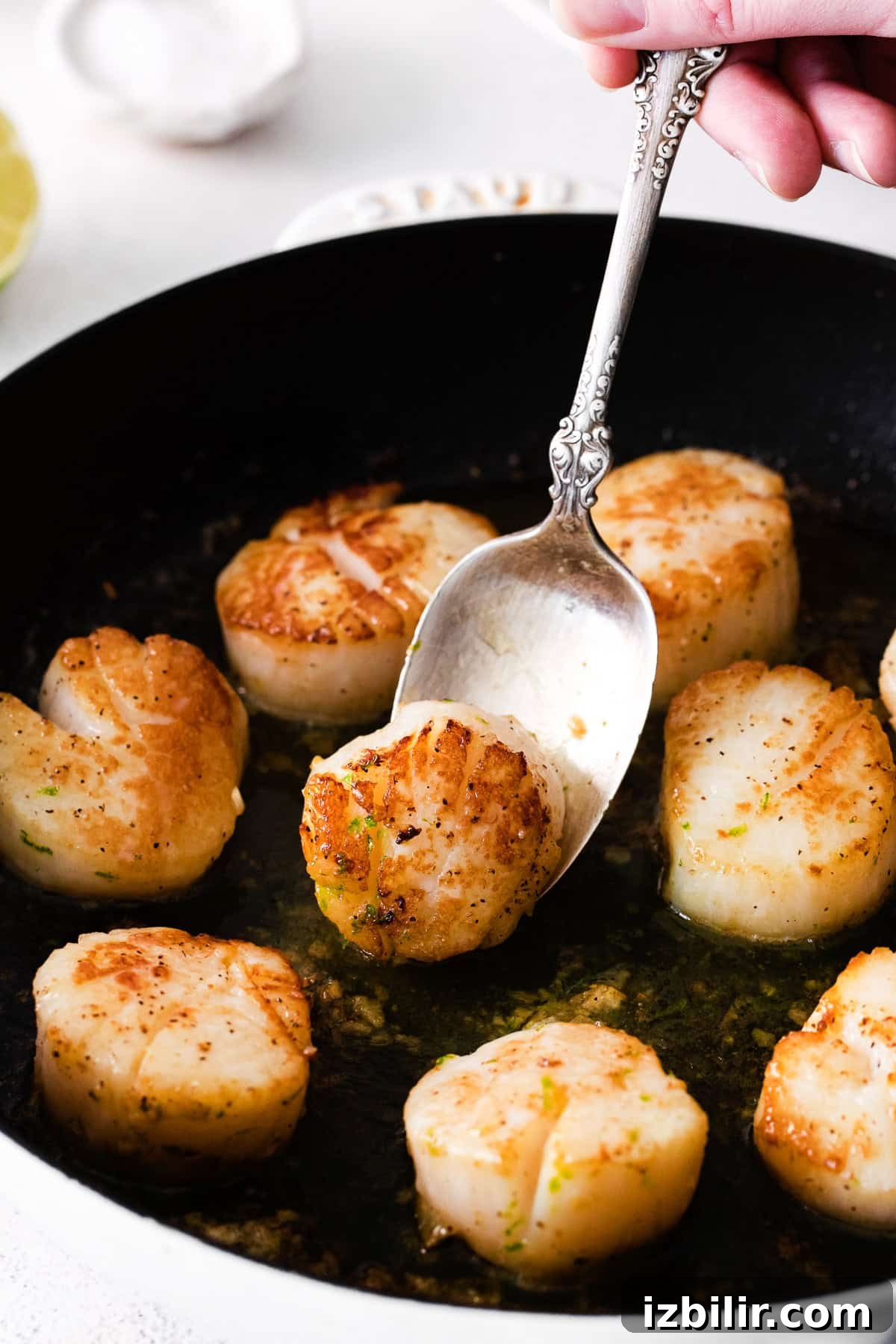 Pan seared scallops in a cast iron pan.
