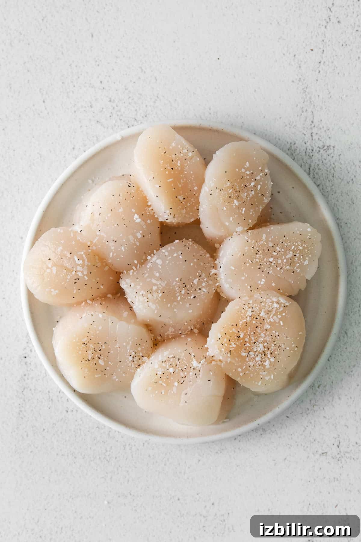 Seasoned scallops on a plate.