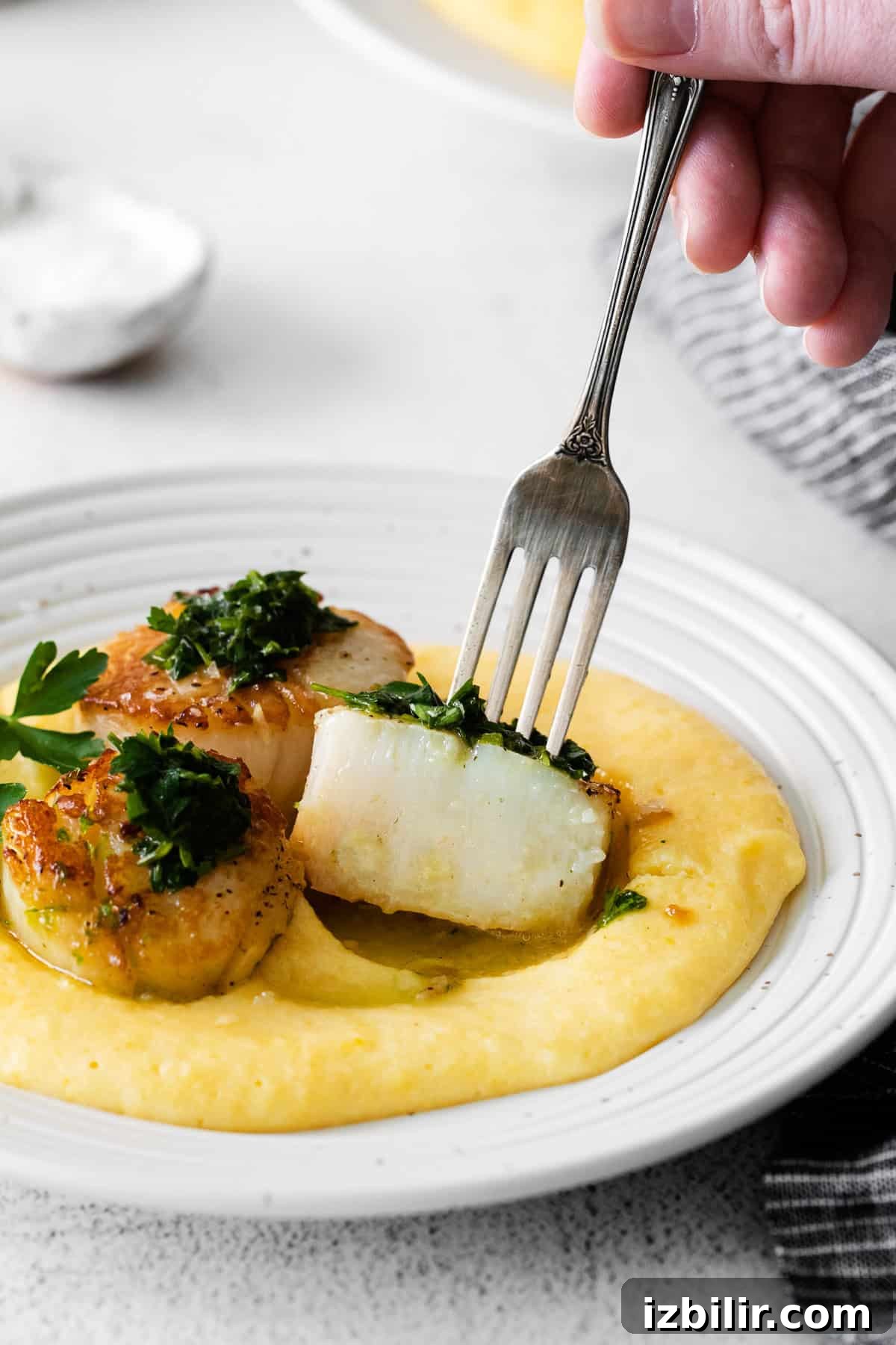 A fork taking a bite of scallops.