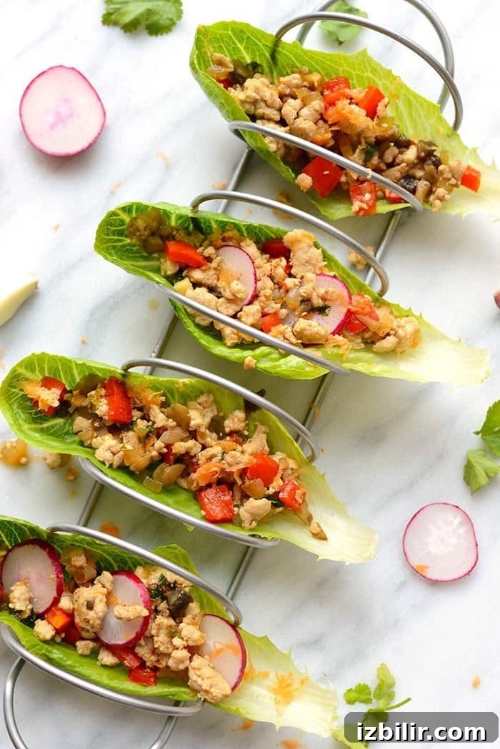 Top view of Thai chicken lettuce wraps in taco holder