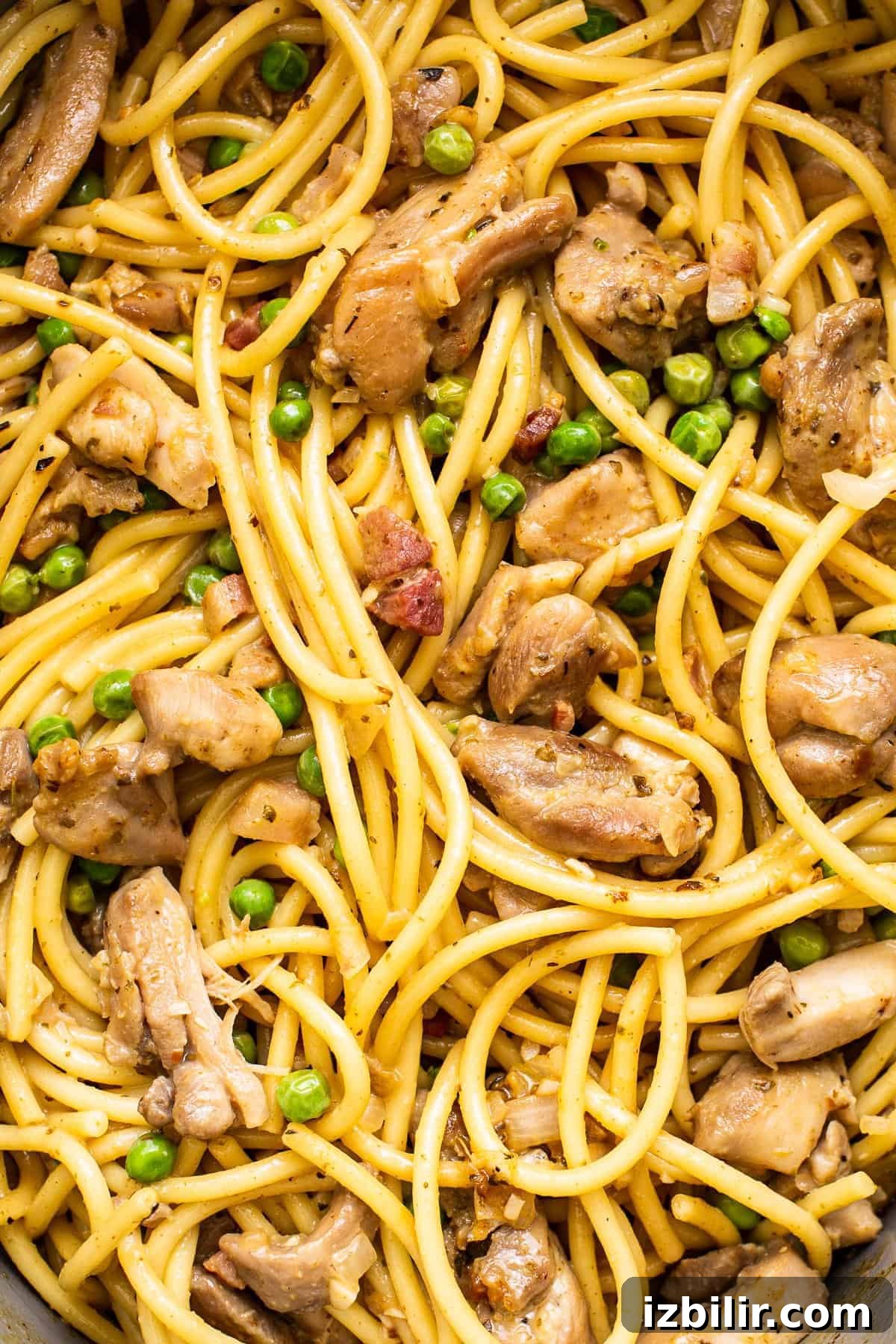 Close up of chicken carbonara pasta.