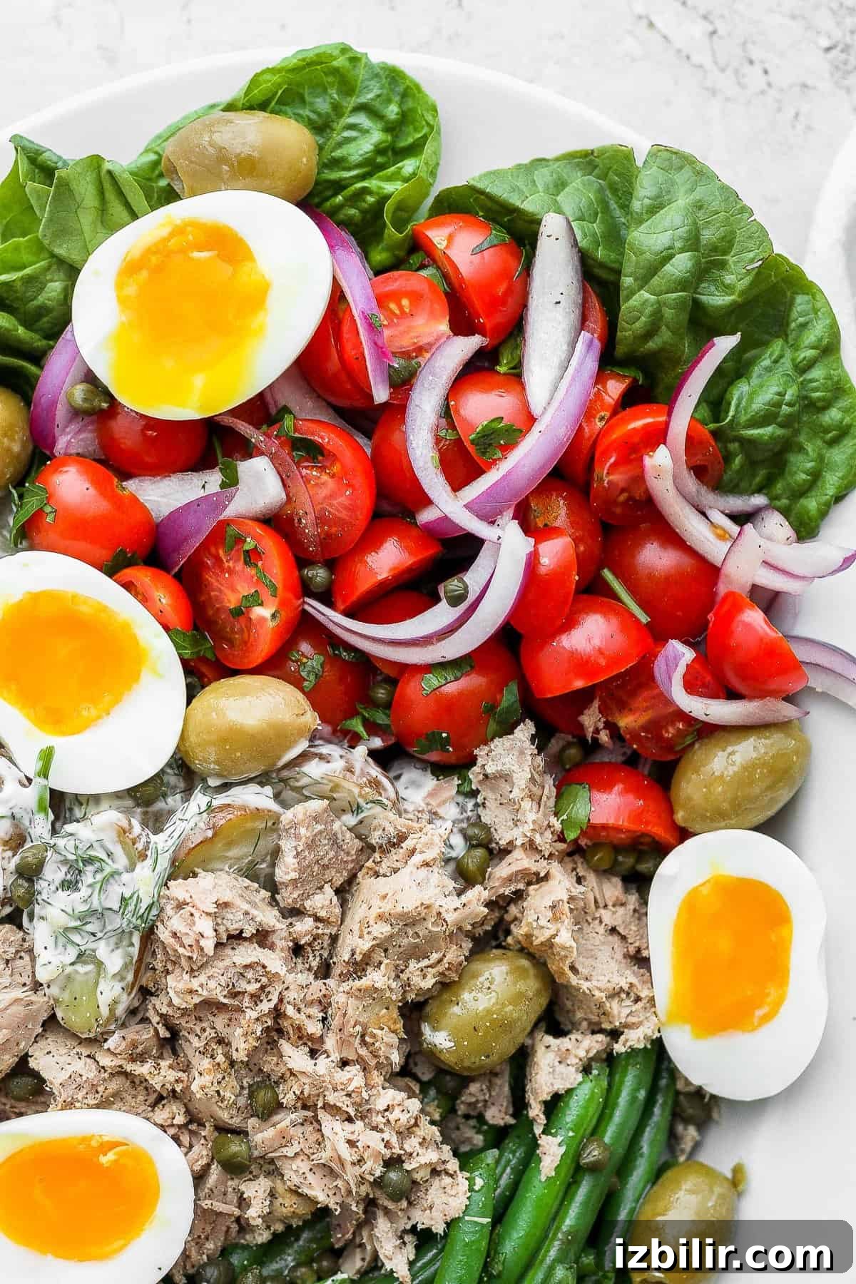 Classic Nicoise Salad Recipe 2 Nicoise salad on a platter.
