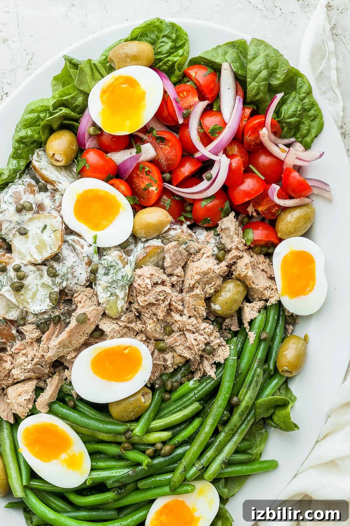 Classic Nicoise Salad Recipe 8 Nicoise salad on a platter.