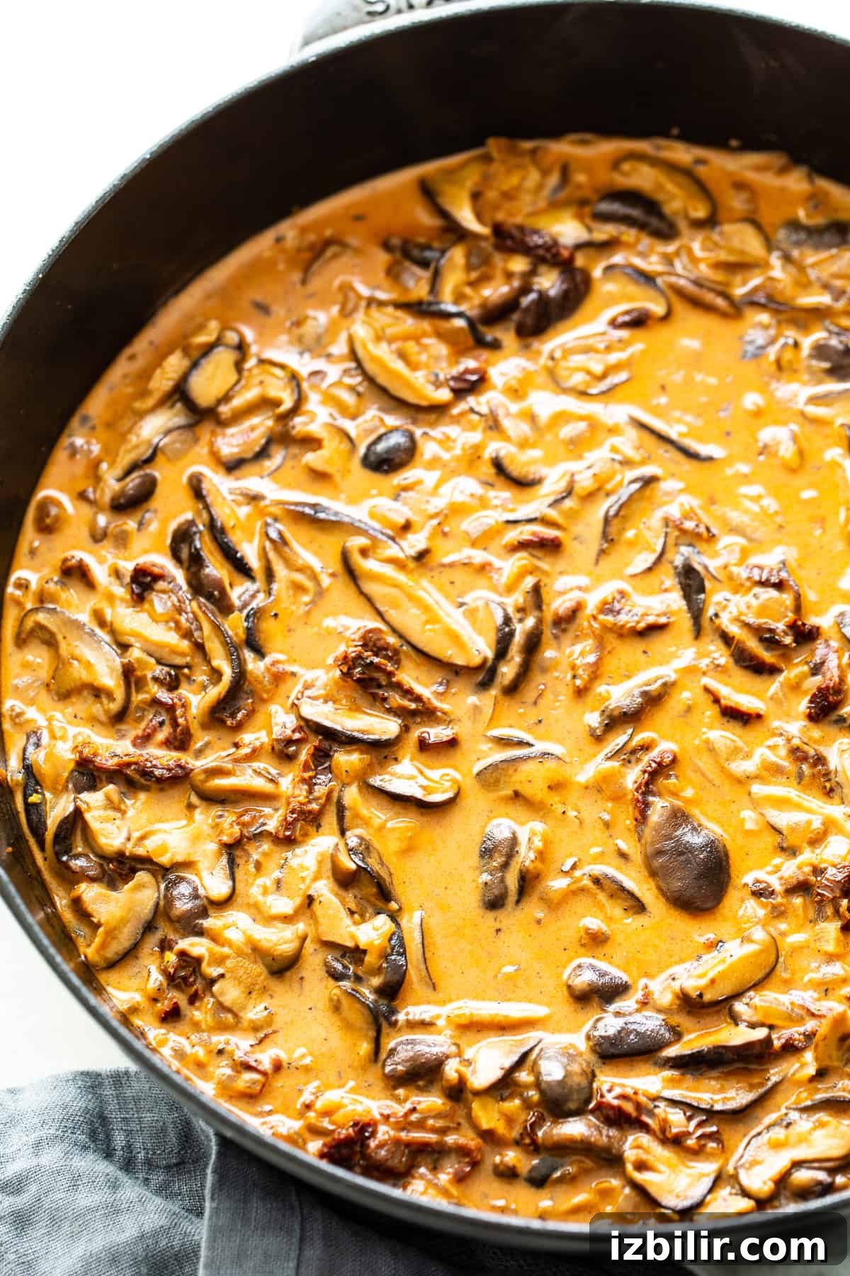 Chicken mushroom pasta sauce in a pan