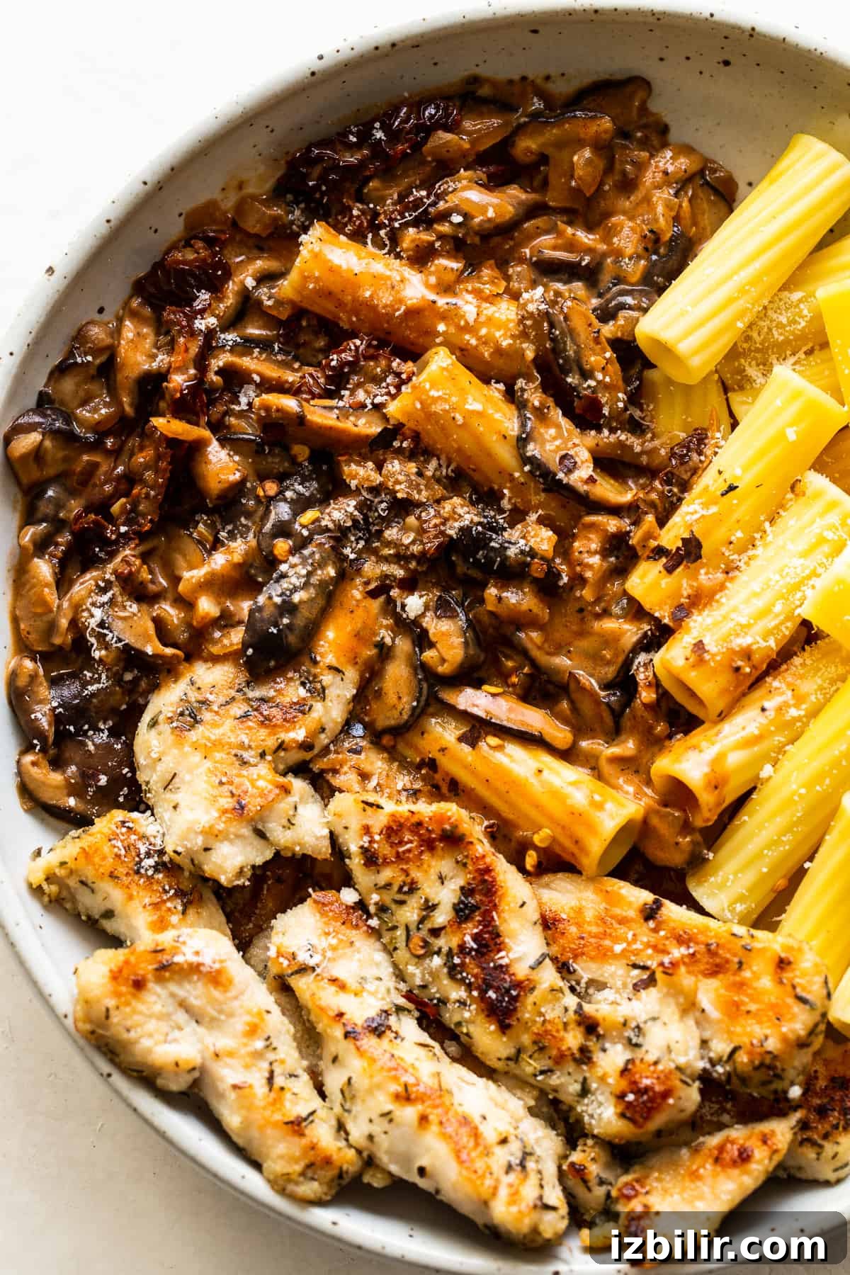 Chicken mushroom pasta on a plate