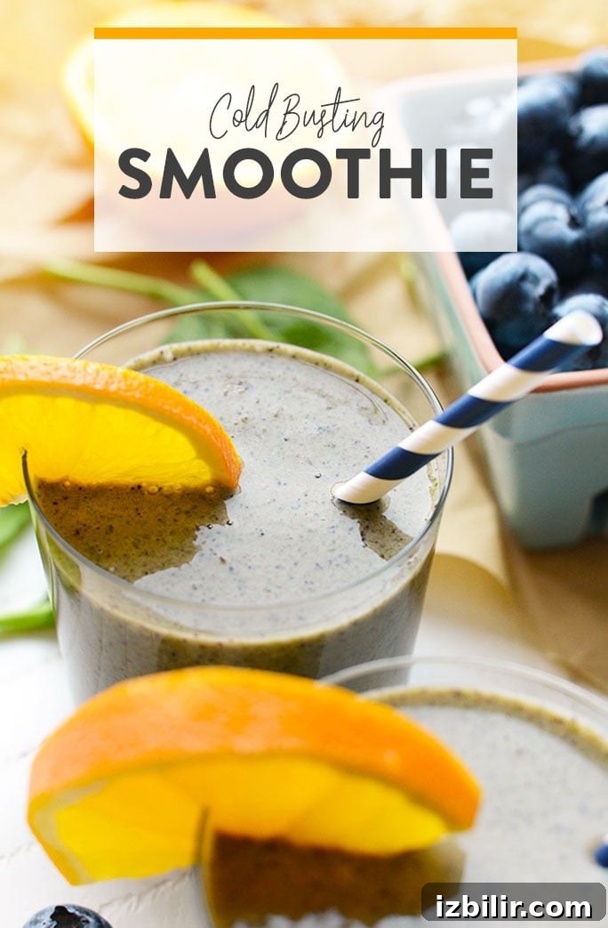 Do you need a boost of vitamins or minerals? This blueberry spinach smoothie is packed with vitamin-c to help boost your immune system and keep your body feelin' good! blueberry banana smoothie in a glass