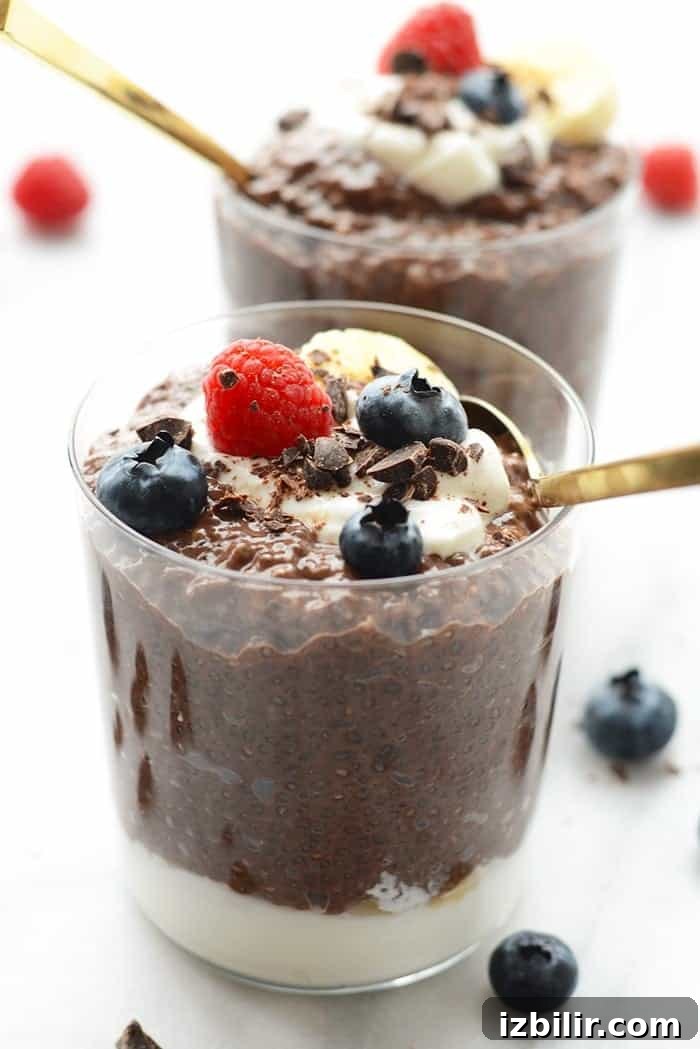 chocolate chia seed pudding in a cup