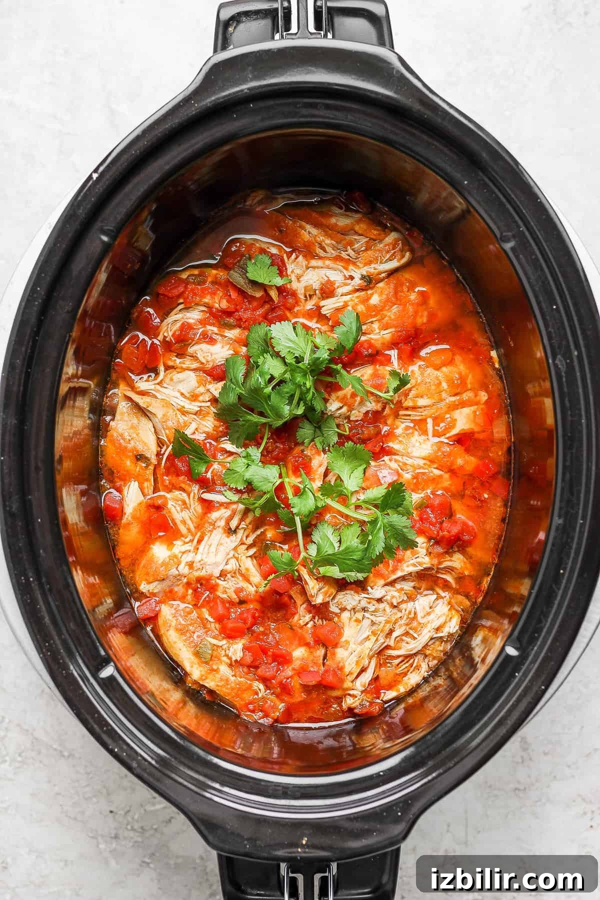 Shredded chicken taco meat ready to serve. shredded chicken tacos meat with cilantro in slow cooker.