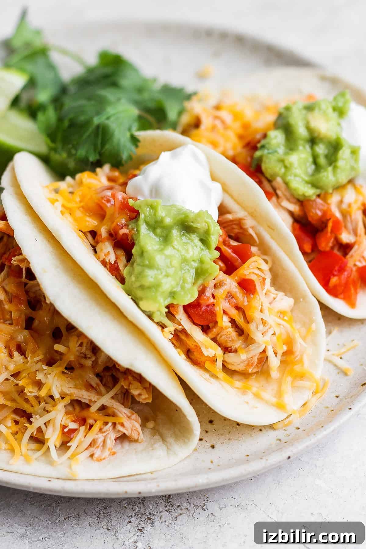 Finished chicken tacos with toppings. chicken tacos with cheese and guacamole on plate.