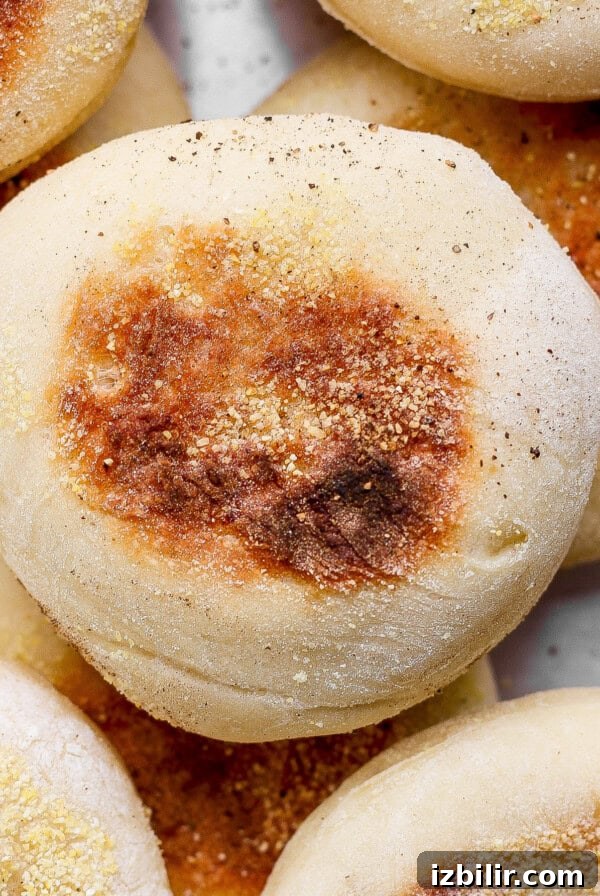 A close-up of several golden-brown English muffins topped with cornmeal, stacked together on a light surface.