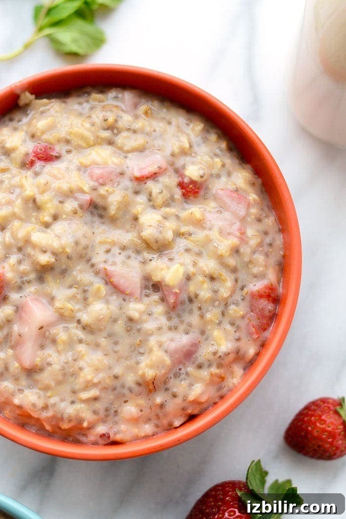Strawberries and cream oatmeal served in a bowl strawberries and cream oatmeal in owl