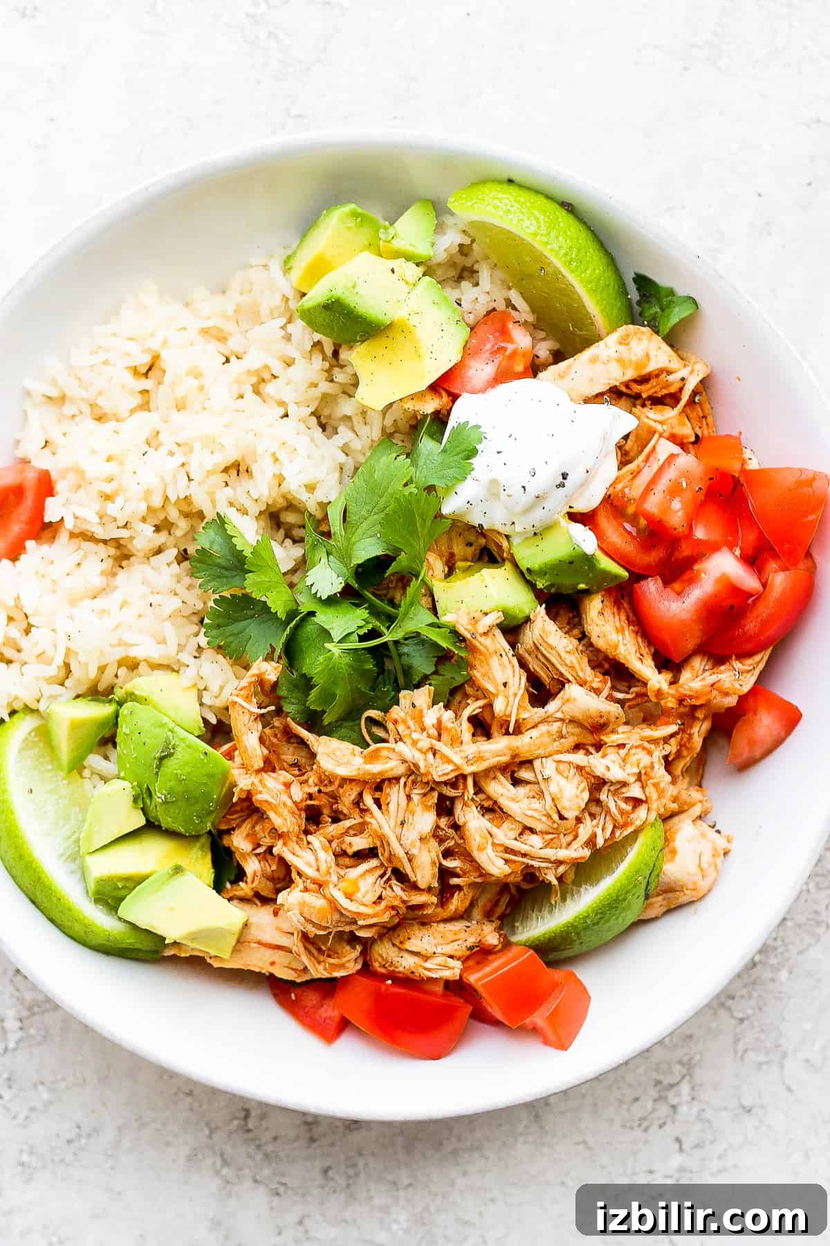 Chicken Tinga in a bowl.