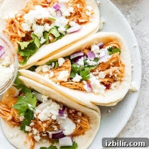 Three chicken tacos on a white plate.