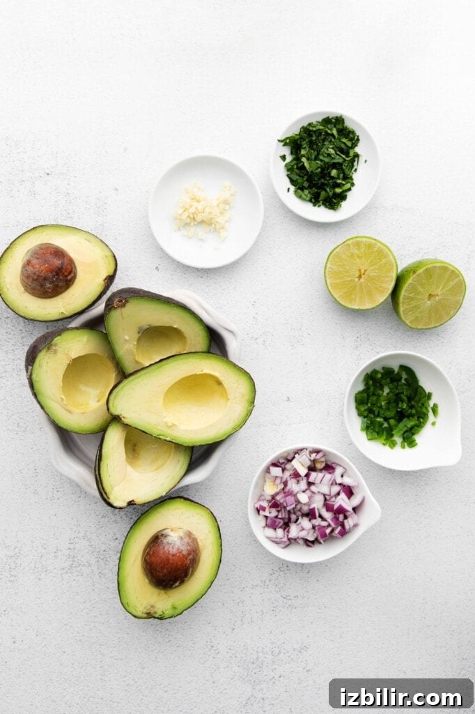 Guacamole ingredients on a counter top