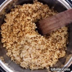 Thai Green Curry Chicken Meatballs 6 Brown rice in an instant pot with a wooden spoon.
