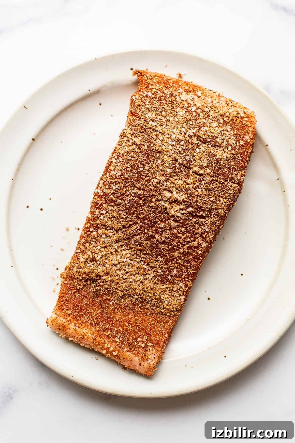 Seasoned salmon fillet on a plate
