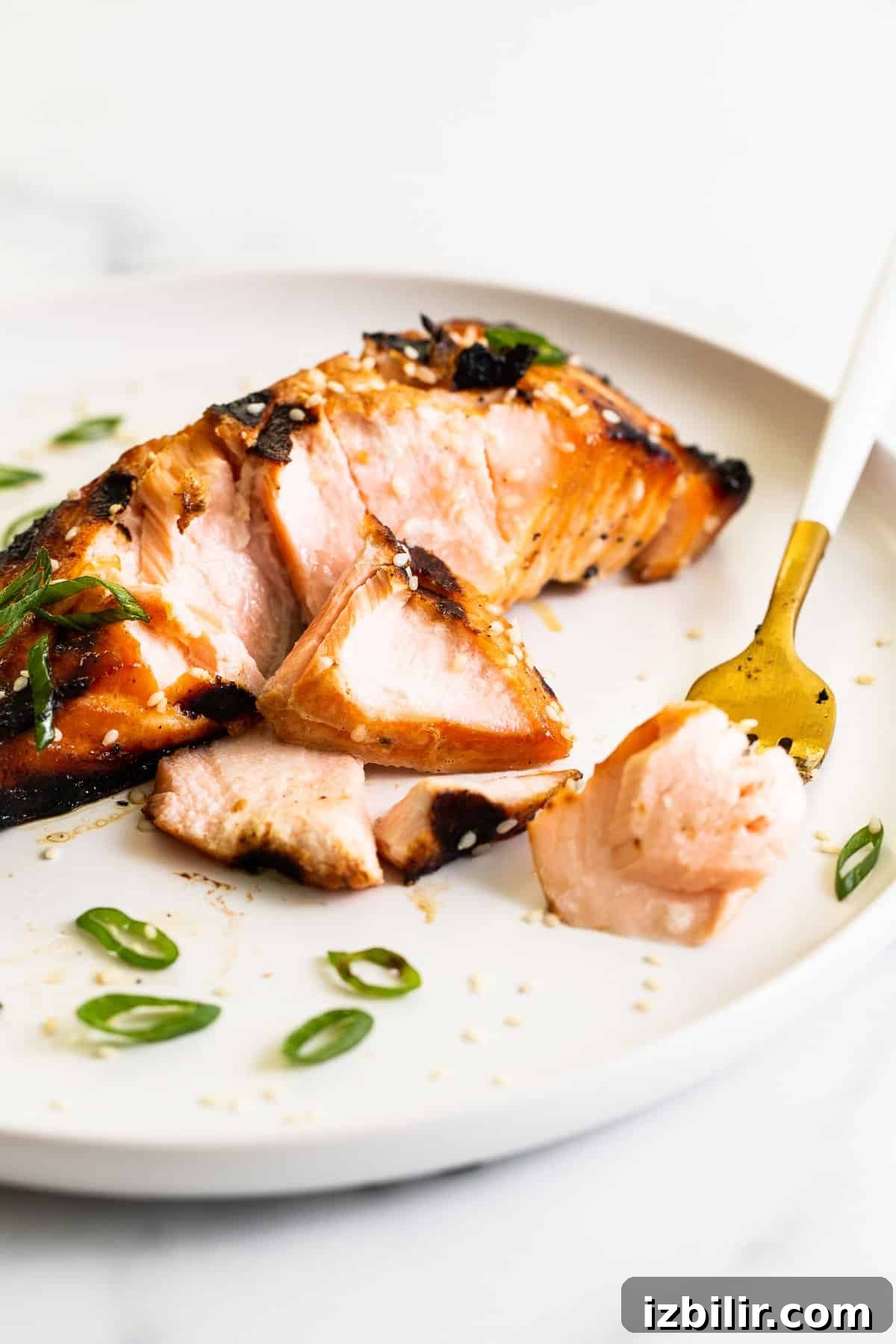 salmon on plate.