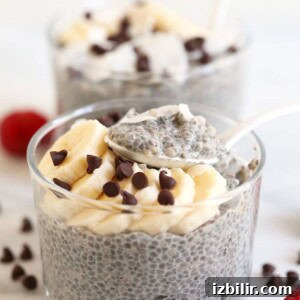 A chia seed pudding recipe topped with chocolate chips and raspberries.