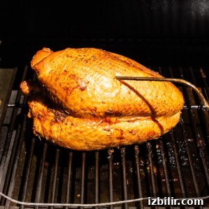 Smoked Turkey Breast Recipe for Juicy, Flavorful Meat 9 A turkey breast smoking on a smoker.