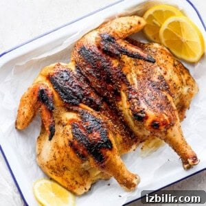 whole chicken on platter.