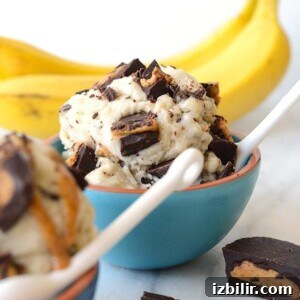 Vegan Peanut Butter Cup Banana Nice Cream Recipe 5 Banana soft serve blended with peanut butter creates a delectable and creamy ice cream.