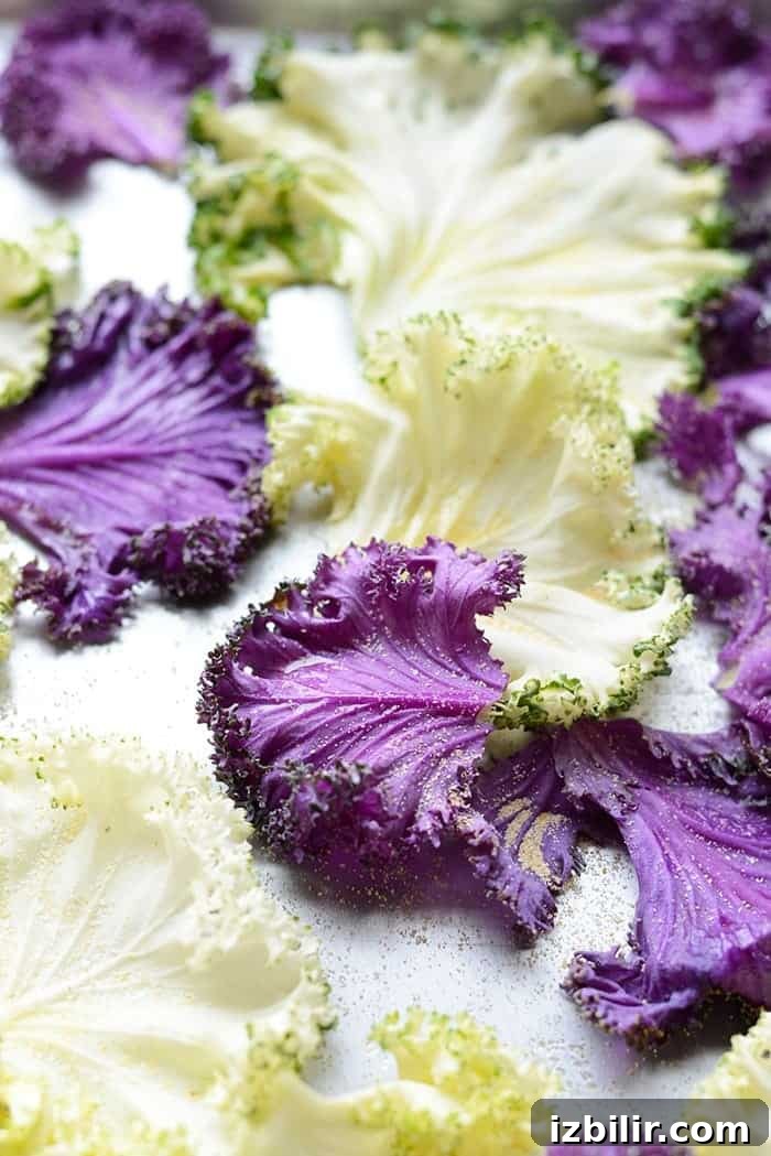 Crispy Oven-Roasted Garlic Kale Chips 2 Looking for a healthy alternative to popcorn on movie night? These Garlic Roasted Kale Chips are packed with nutrients and flavor.