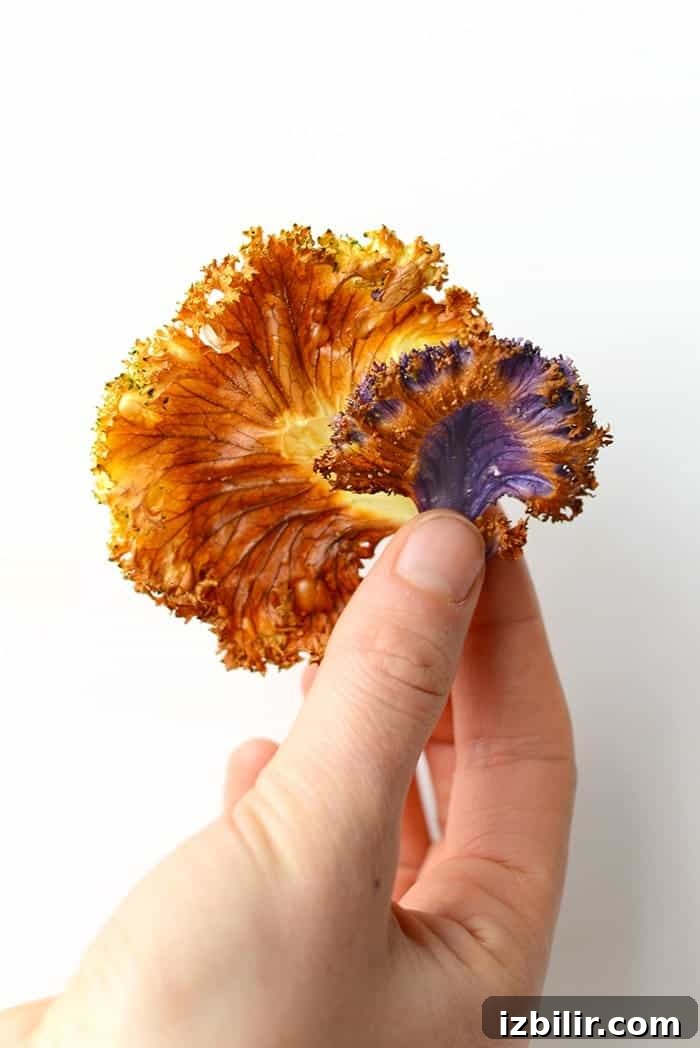 Crispy Oven-Roasted Garlic Kale Chips 4 Kale chip