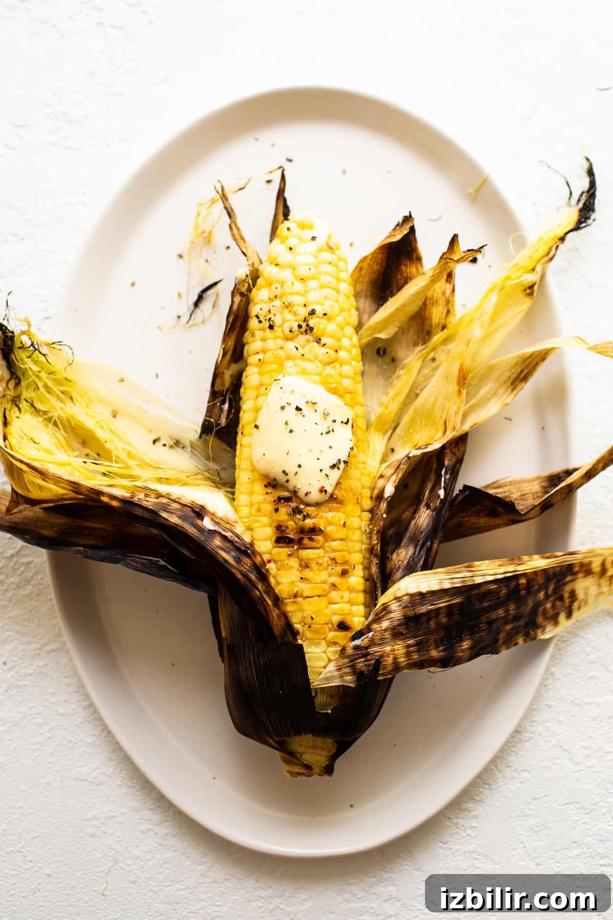Grilled corn on a plate with butter grilled corn on a plate with butter