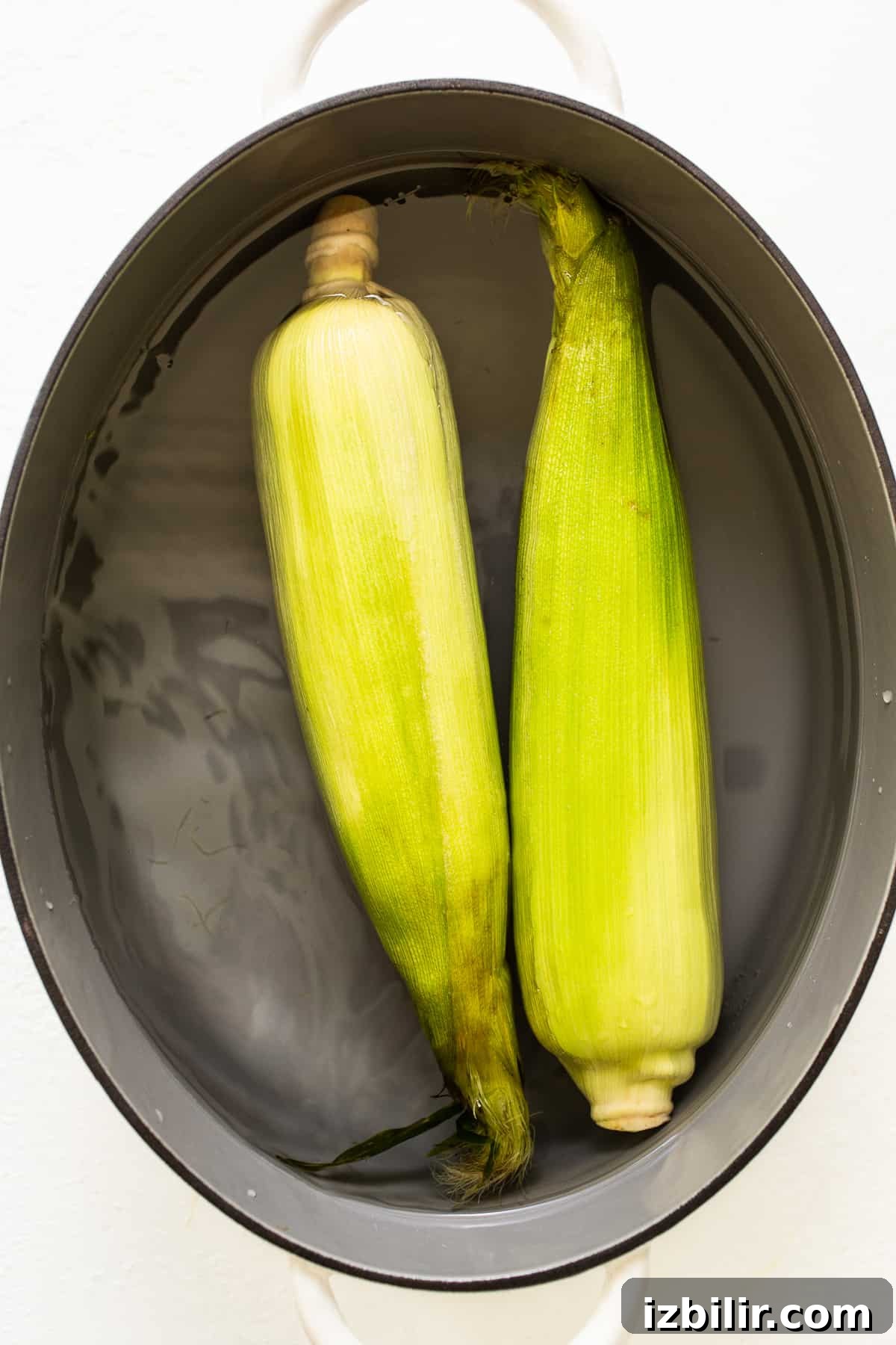 Corn soaking in water corn soaking in water