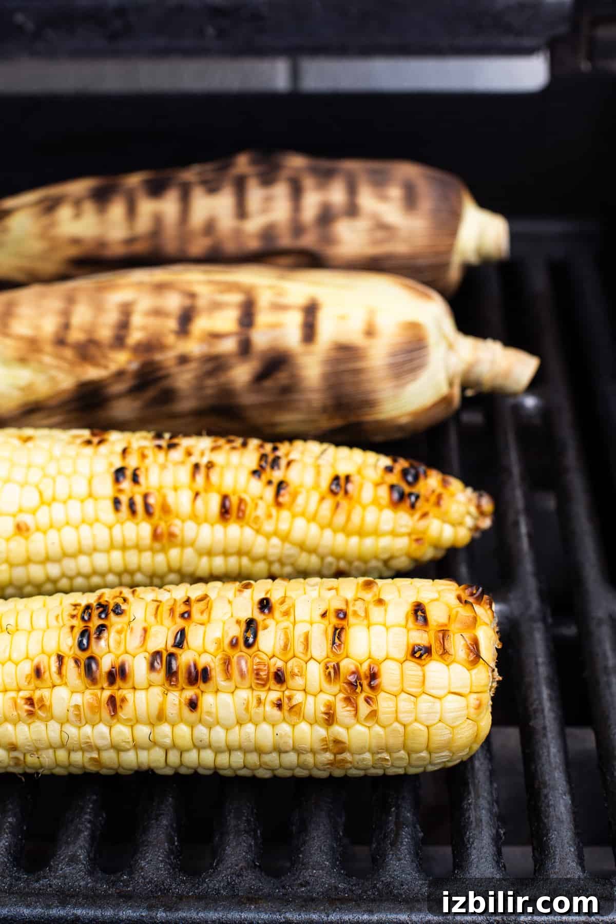 4 ears of corn on the grill 4 ears of corn on the grill