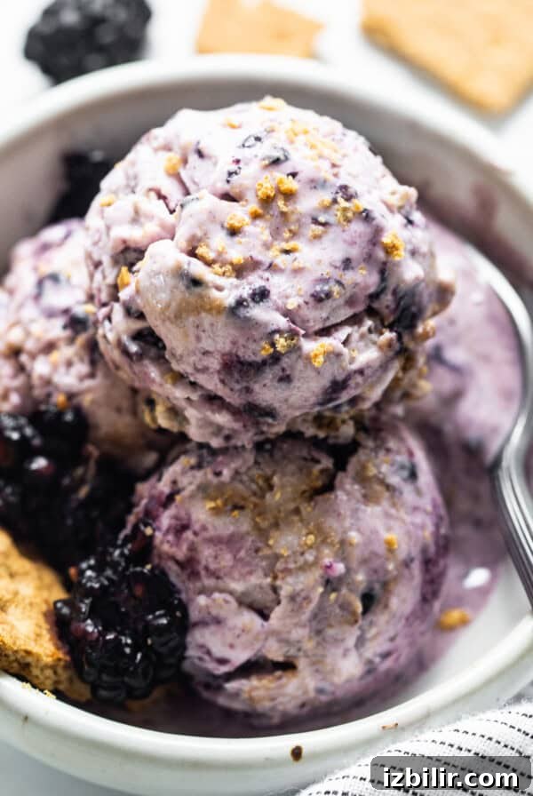 Chewy Almond Butter Chocolate Chip Cookie Bars Recipe 4 blackberry ice cream in bowl.
