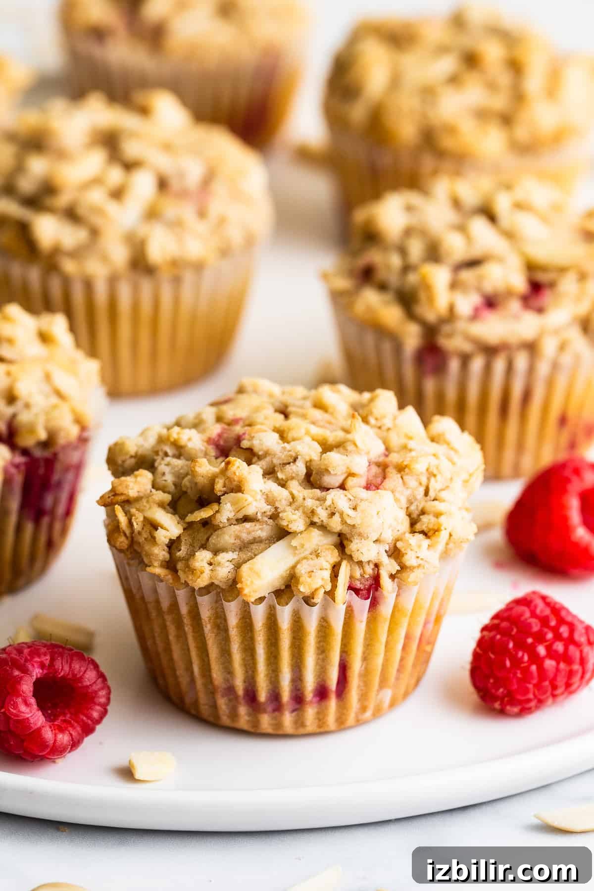 raspberry muffins on counter.