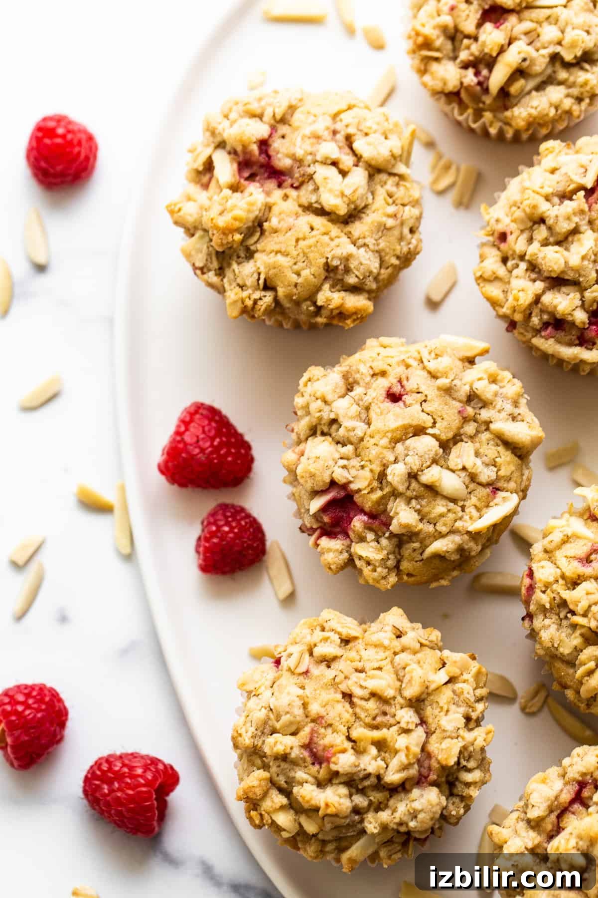 raspberry muffins on plate.