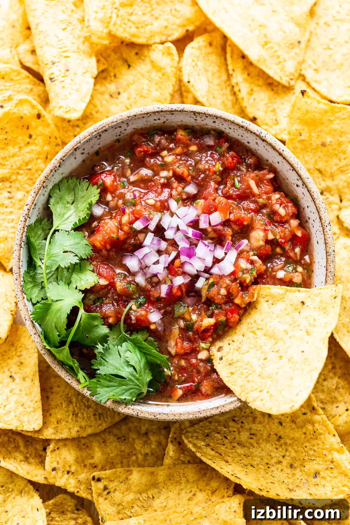 Use up your garden veggies and make homemade salsa with juicy tomatoes, onion, fresh garlic, bell pepper, and cilantro. salsa in bowl with chips.