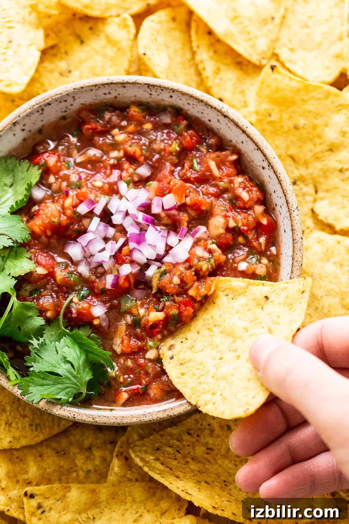 Homemade salsa is ready in 10 min. and is made in the food processor with your favorite garden veggies - tomatoes, onion, garlic, & cilantro! hand scooping salsa with chip.