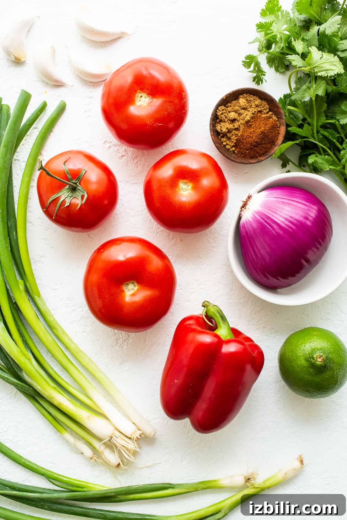 Use up your garden veggies and make homemade salsa with juicy tomatoes, onion, fresh garlic, bell pepper, and cilantro. ingredients on countertop