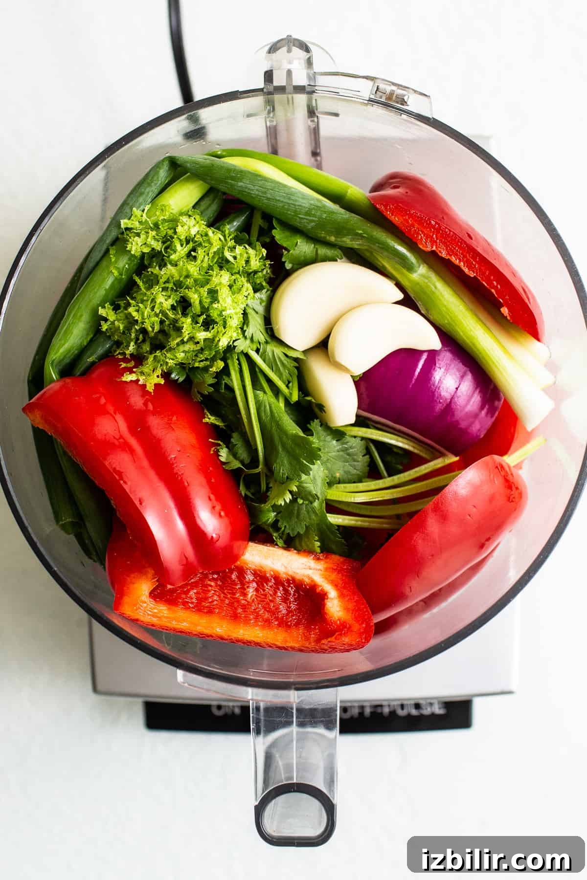 Use up your garden veggies and make homemade salsa with juicy tomatoes, onion, fresh garlic, bell pepper, and cilantro. veggies in food processor.