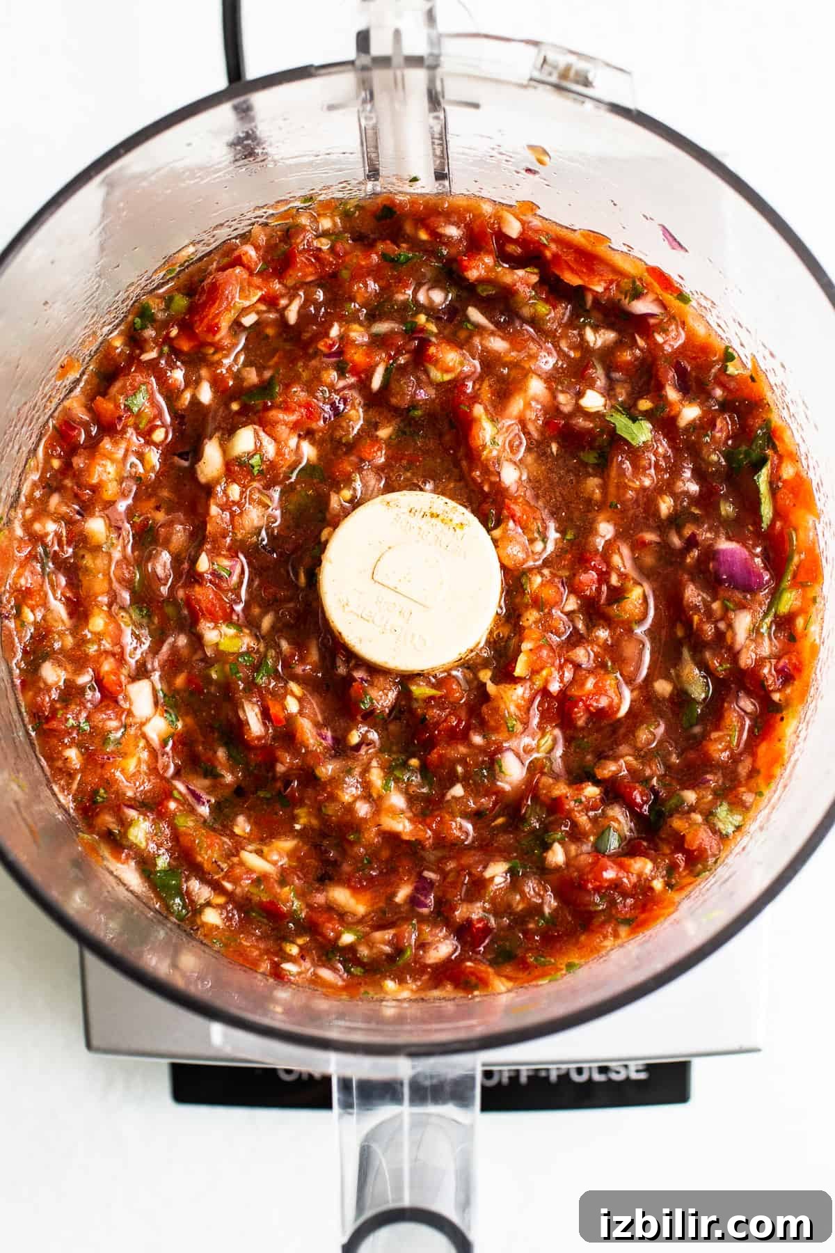 Homemade salsa is ready in 10 min. and is made in the food processor with your favorite garden veggies - tomatoes, onion, garlic, & cilantro! salsa in food processor.