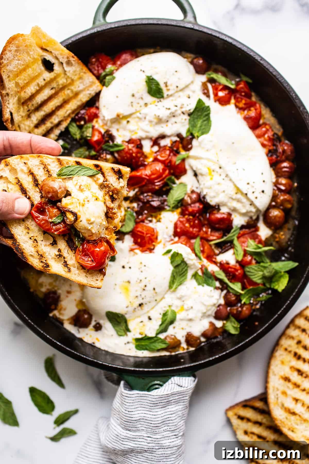 Creamy Burrata with Bursting Cherry Tomatoes Recipe 5 toasted bread scooping burrata cheese and tomatoes.